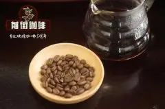 埃塞俄比亞咖啡海拔 埃塞俄比亞香水咖啡豆是什麼 單一咖啡特點