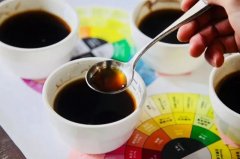 如何在衝煮時避免咖啡苦味 咖啡的苦味來自哪裏 烘焙與咖啡苦味