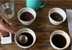 咖啡粉與水的配比 多少咖啡粉放多少水 咖啡粉衝咖啡水比例