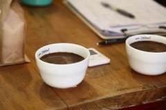 咖啡金盃萃取區間多少 日本愛拓咖啡濃度儀如何 咖啡萃取不足原因
