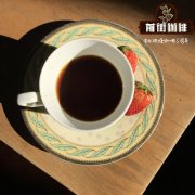 雲南孟連咖啡豆 厭氧日曬卡蒂姆品種衝煮方案與口感特性分享
