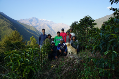 玻利維亞安第斯山脈精品咖啡Takesi莊園高海拔優雅的清爽特徵