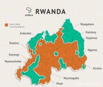 盧旺達咖啡豆的風味特點 種植歷史和產區介紹