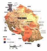非洲坦桑尼亞精品咖啡豆風味特點 分級制度 坦桑尼亞咖啡手衝