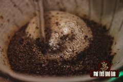 葉爾莎羅莊園處理咖啡豆的方法 壓力蜜處理葉爾莎羅咖啡風味
