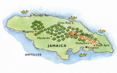 牙買加藍山咖啡豆的特點 什麼纔是真正的牙買加藍山咖啡