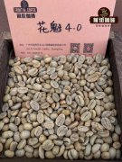 埃塞俄比亞西達摩日曬花魁咖啡豆Dega品種特點手衝風味簡介