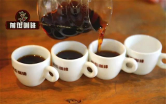 雲南孟連卡蒂姆精品咖啡豆 小粒咖啡產地處理法衝煮比例口感特點