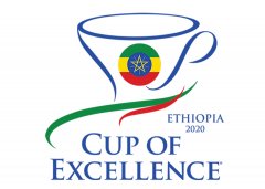 首屆Ethiopia埃塞俄比亞卓越杯coe拍賣會創下134萬美元的新高