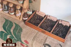 手衝咖啡用什麼咖啡豆好 適合手衝咖啡的咖啡豆有哪些