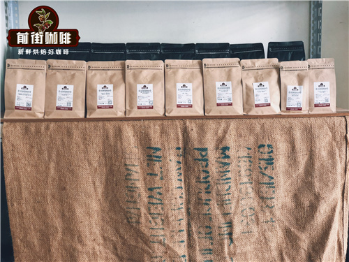 三大咖啡種類阿拉比卡咖啡豆品種外形特徵 鐵皮卡波旁瑰夏特點