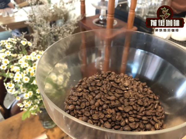 象豆咖啡豆產區故事特點 尼加拉瓜象豆咖啡怎麼烘培衝煮？