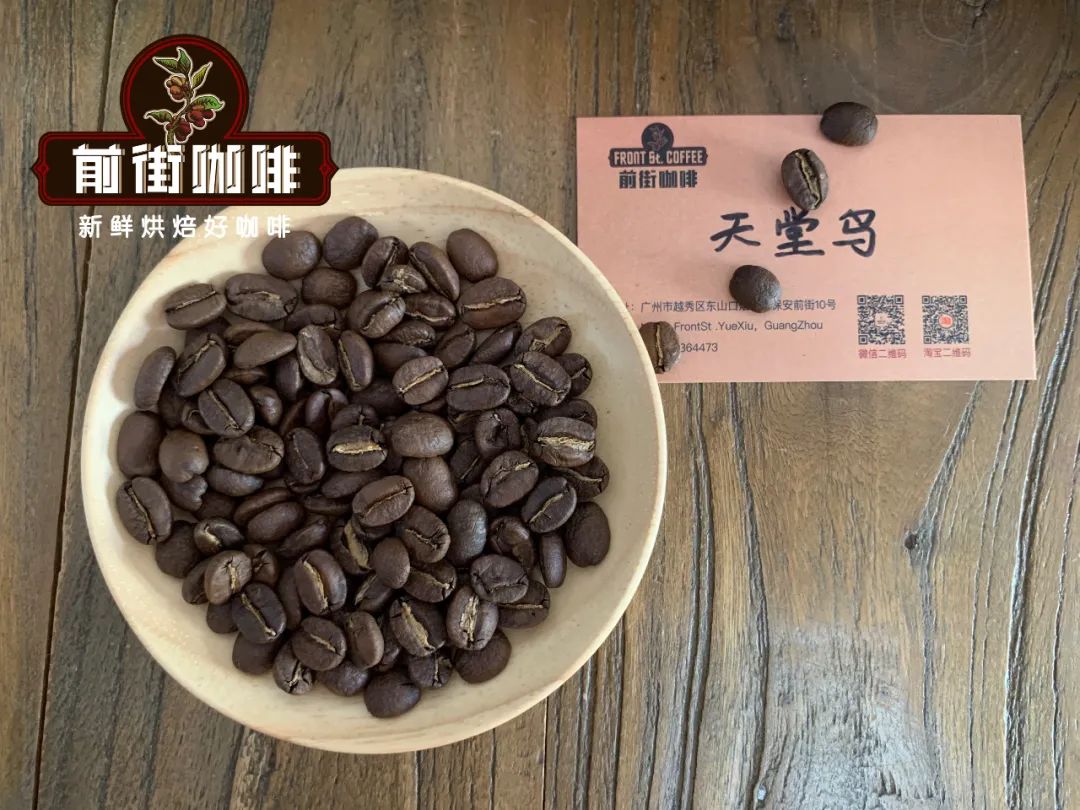小藍山咖啡豆是什麼 新幾內亞咖啡豆產區風味口感特點描述
