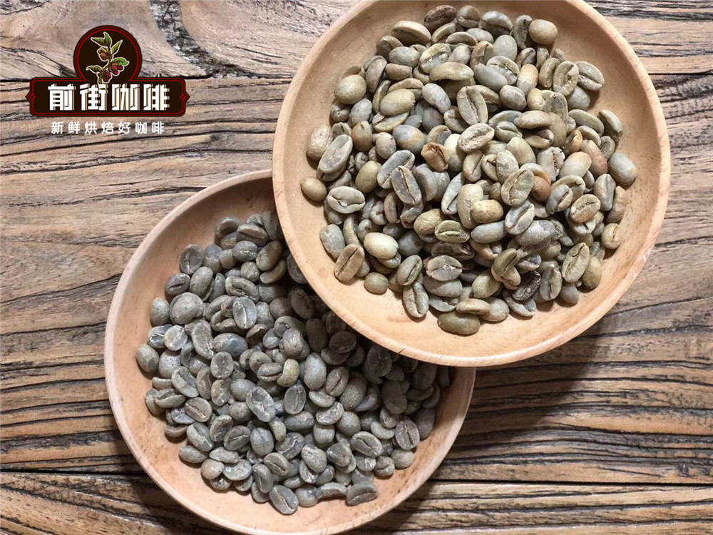 咖啡豆處理法會對咖啡風味帶來不同的表現？水洗和日曬處理的區別