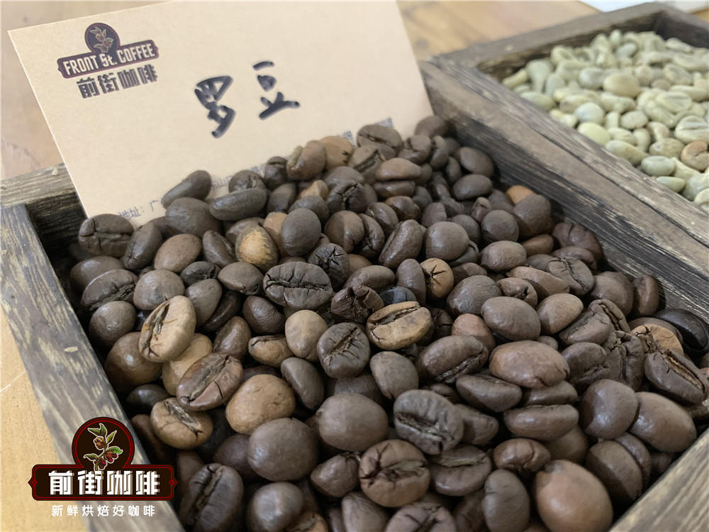 羅豆是什麼 羅布斯塔咖啡豆和阿拉比卡咖啡豆哪一個更好喝？