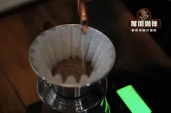 kalita蛋糕濾杯特點 kalita濾杯沖泡手法 手衝咖啡用什麼濾杯