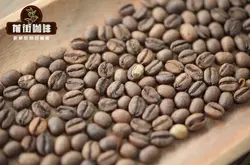 埃塞咖啡豆花魁6.0風味描述口感特點 花魁咖啡豆手衝參數推薦