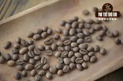 2020年TOH冠軍阿美狄拉洛咖啡豆風味描述介紹 耶加雪菲厭氧日曬口感