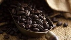 咖啡豆都有什麼特殊處理法 常見咖啡豆特殊處理法和傳統處理