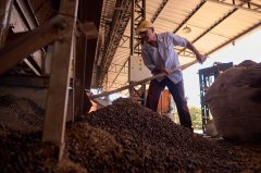 咖啡豆市場價格飆升 巴西哥倫比亞越南咖啡產區影響價格的因素