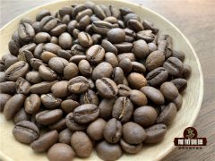 各產國給咖啡命名的慣例 咖啡原生種的味道差異