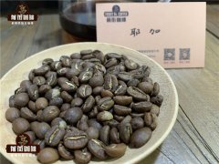 SIDAMO咖啡豆 耶加雪菲和埃塞俄比亞 Harrar 的風味區別