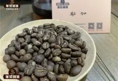 肯尼亞AA咖啡豆和耶加雪菲哪個好喝 肯尼亞咖啡風味特點是什麼？