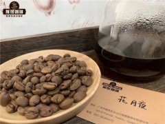 菊苣咖啡是咖啡還是茶 菊苣與咖啡最大的區別是什麼 菊苣的配方