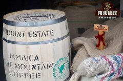 牙買加藍山一號咖啡豆特點和故事介紹 Typica鐵皮卡咖啡豆藍山品種特點