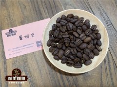蘇拉威西咖啡豆是太平洋咖啡種植世界的瑰寶 蘇拉威西托拉雅咖啡