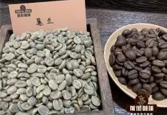 什麼口味咖啡好喝？哥倫比亞最受歡迎的咖啡豆排行榜哪種咖啡香濃