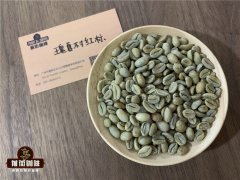 咖啡生豆主要是以大小還是按照海拔高度來決定級別的高低的呢